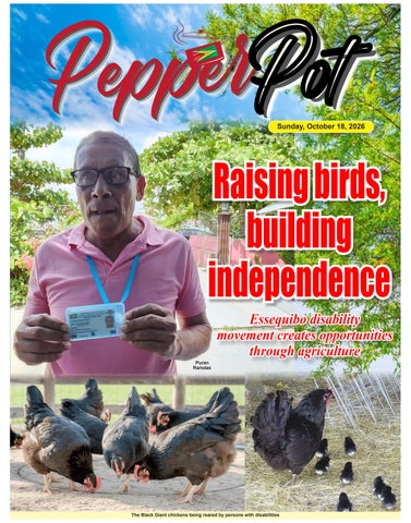 Guyana Chronicle Pepperpot E-Paper 18-10-2026