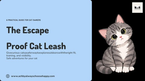 Outdoor Cat Safety Made Simple: Your 9-Slide Guide