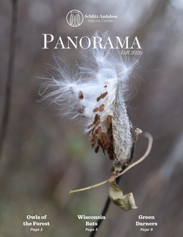 Panorama | Fall 2026