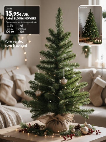 Navidad bc 第 5 页