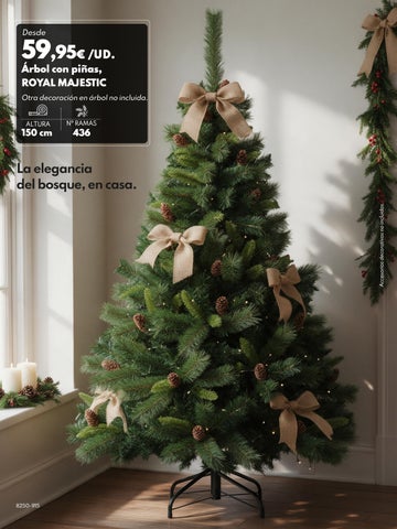 Navidad bc 第 6 页