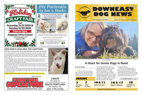 DowneastDog_November 2026