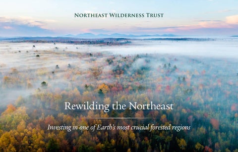Rewilding the Northeast Booklet