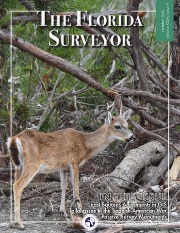 The Florida Surveyor – October 2026