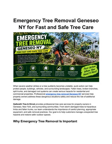 Emergency Tree Removal Geneseo NY for Fast and Safe Tree Care