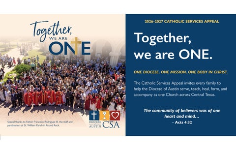CSA Brochure English