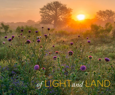 TexasLandscapes_Book_small