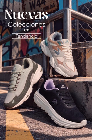 BROCHURE SHOOWROOM ROUTT 11