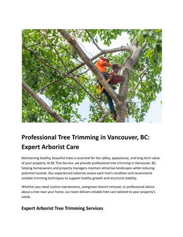 arborist tree trimming