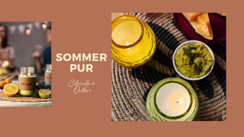Balthasar Sommerkatalog 2027 第 3 页