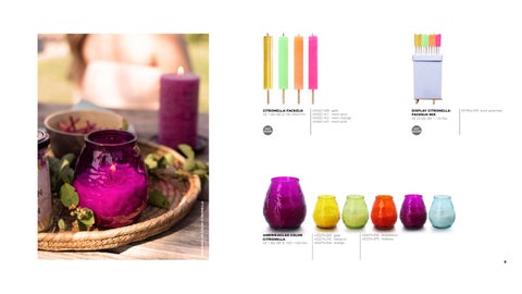 Balthasar Sommerkatalog 2027 第 6 页