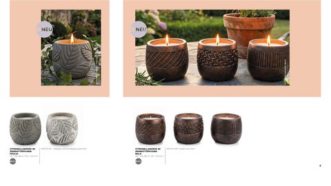 Balthasar Sommerkatalog 2027 第 8 页