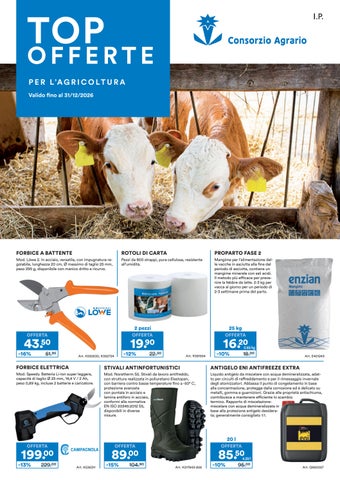 TOP OFFERTE
