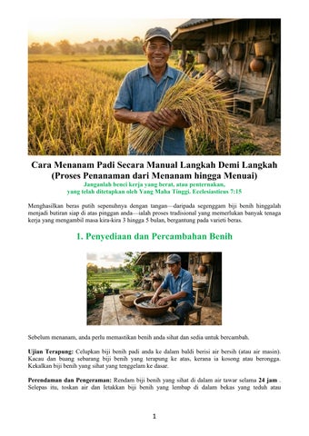 Malay - How to Grow Rice Manually Step-By-Step (Cultivation Process from Planting to Harvest)
