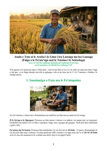 Samoan - How to Grow Rice Manually Step-By-Step (Cultivation Process from Planting to Harvest)