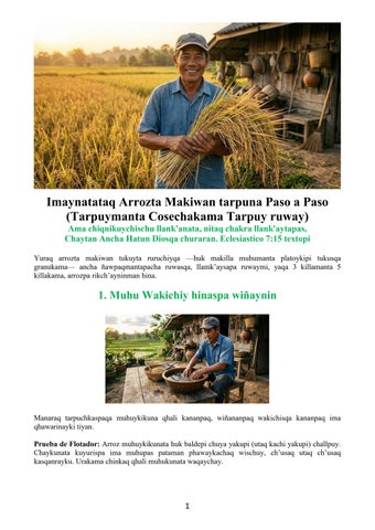 Quechua - How to Grow Rice Manually Step-By-Step (Cultivation Process from Planting to Harvest)