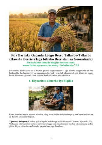 Somali - How to Grow Rice Manually Step-By-Step (Cultivation Process from Planting to Harvest)
