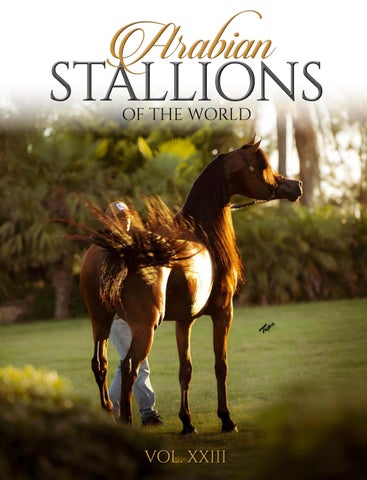 Arabian Stallions of the World Vol. XXIII
