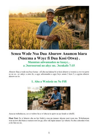 Twi - How to Grow Rice Manually Step-By-Step (Cultivation Process from Planting to Harvest)