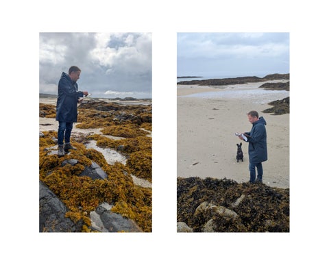 Matthew Draper | The Small Isles 第 8 页