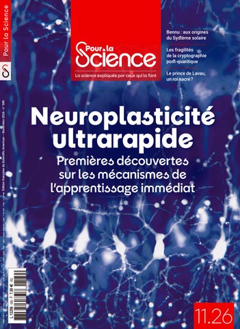 Pour la Science n°589 - novembre 2026 - Neuroplasticité ultrarapide
