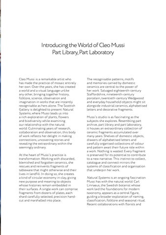 Cleo Mussi | Natural Systems 第 5 页