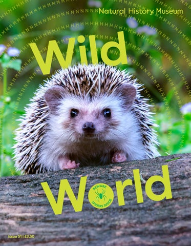 The Natural History Museum Wild World Magazine Autumn 2026