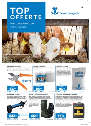 TOP OFFERTE