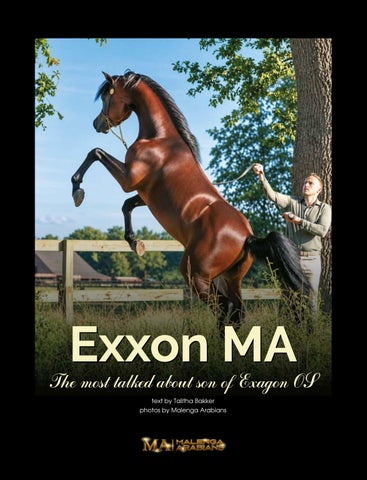Exxon MA