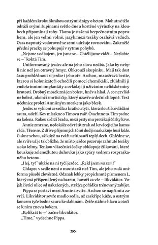 Štěpán Tůma: Břehy Strusky — 英国 ázka 第 20 页