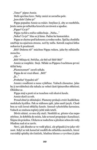 Štěpán Tůma: Břehy Strusky — 英国 ázka 第 22 页