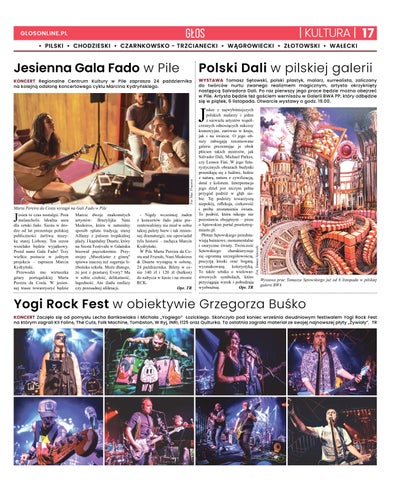Głos 13/10 第 17 页