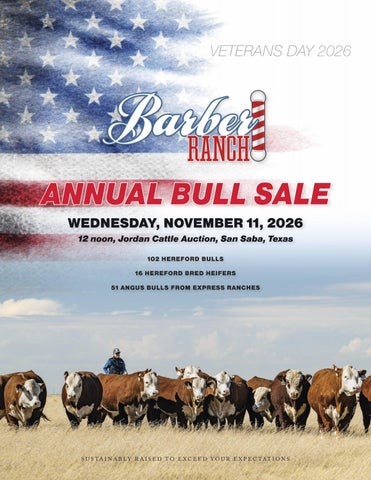 BarberRanchBullSale111126