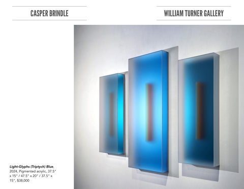 Casper Brindle Tear Sheet 第 23 页