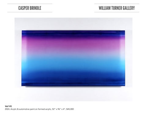 Casper Brindle Tear Sheet 第 4 页