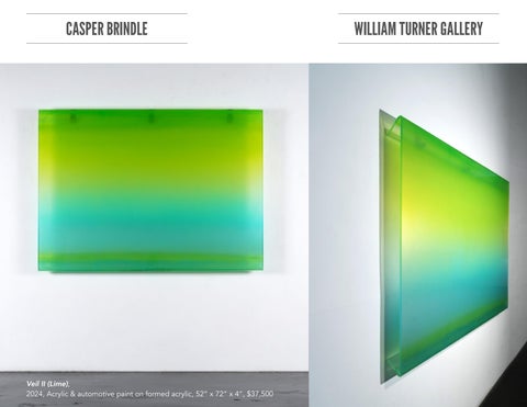 Casper Brindle Tear Sheet 第 6 页