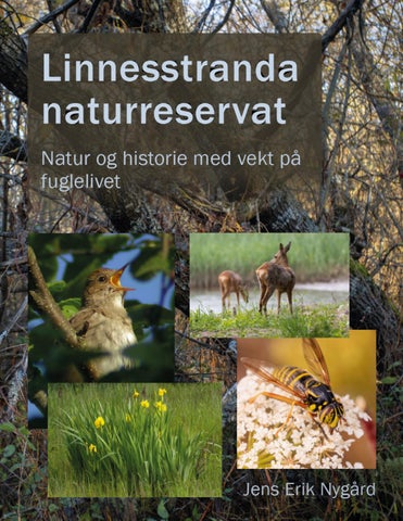 Linnesstranda naturreservat - natur og historie med vekt på fuglelivet.