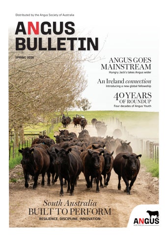 2026 Spring Angus Bulletin