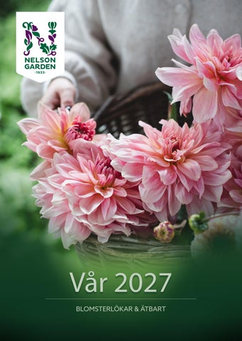 Vårlök-2027 Se