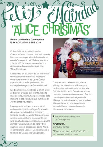 MÁLAGA NAVIDAD 2025 第 20 页
