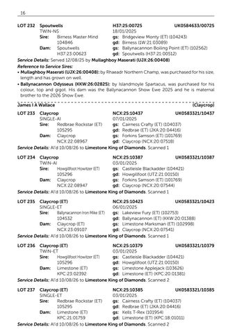 Suffolk V2 061126 第 18 页