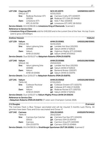 Suffolk V2 061126 第 19 页