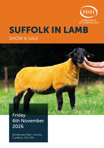 Suffolk V2 061126 第 1 页