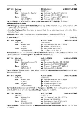 Suffolk V2 061126 第 21 页