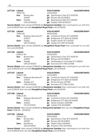 Suffolk V2 061126 第 22 页