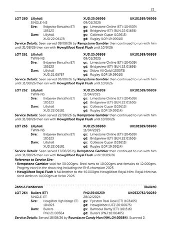 Suffolk V2 061126 第 23 页