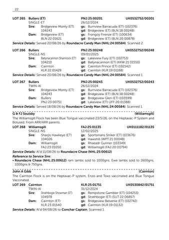 Suffolk V2 061126 第 24 页
