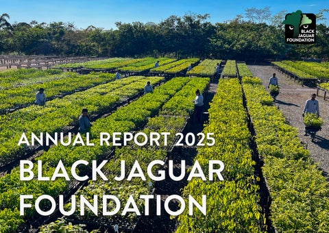 Relatório Anual 2025 - Black Jaguar Foundation
