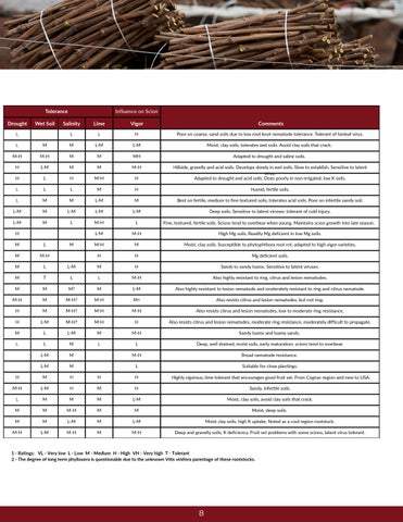 Wine Grape 家具目录 第 9 页