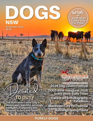 November 2026 magazine 